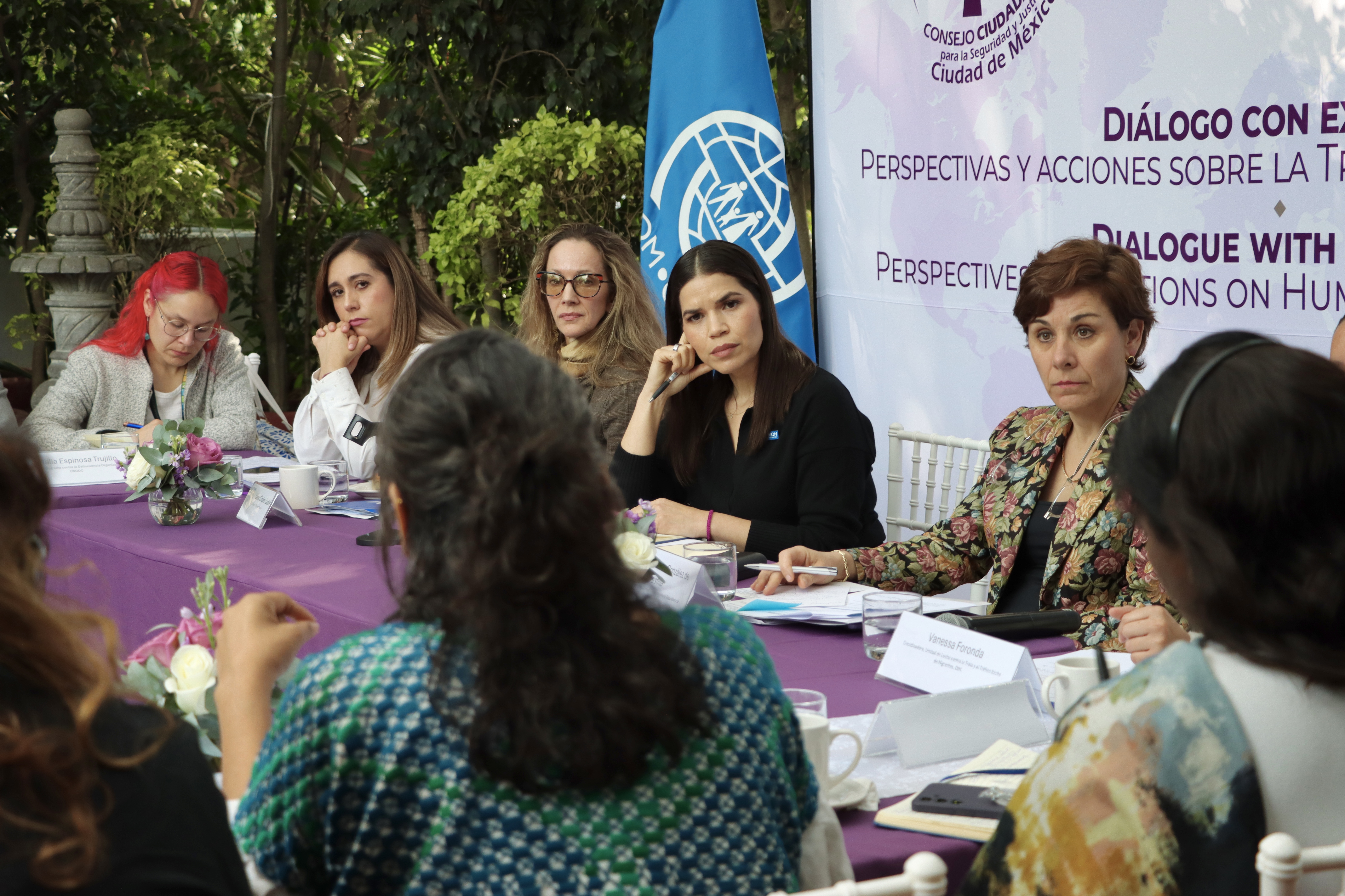 Descripci&oacute;n corta imagen